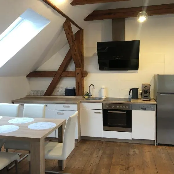 Apartmány Kosov 1, hotel v destinaci Bor
