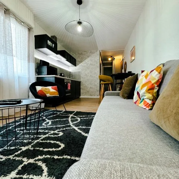 2 pièces cathédrale proche des quais strasbourg, hotel Strasbourgban