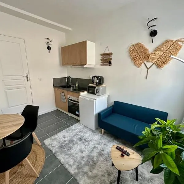 superbe appartement centre de Vichy, hotel ve Vichy