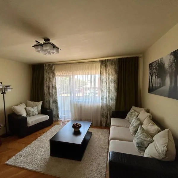 Apartament in Lugoj Gabriela, hotel v destinaci Lugoj