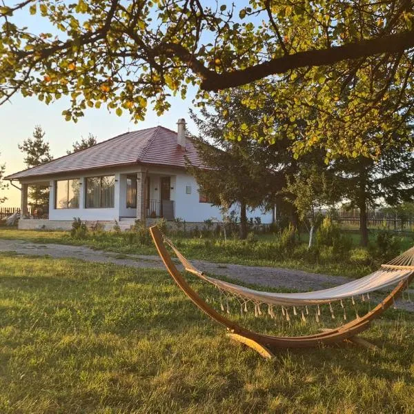 Kavicsház，弗勒希察的飯店