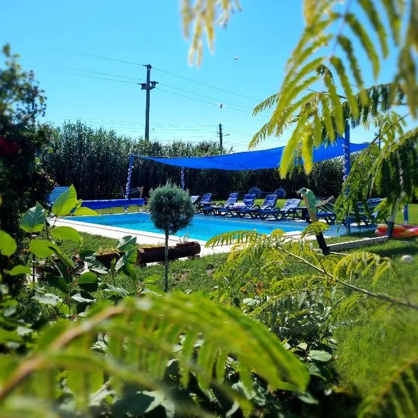 Casa cu Trandafiri Murighiol, hotel v destinaci Murighiol