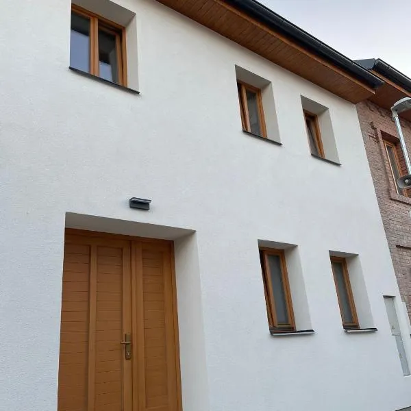 Penzion U Blechy a Švába, hotel v destinaci Mikulčice