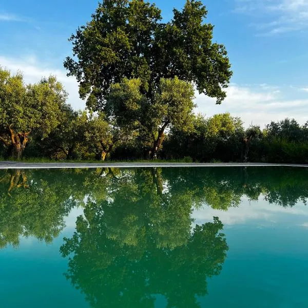 Tenuta Paino, hotel v destinácii Sessa Aurunca