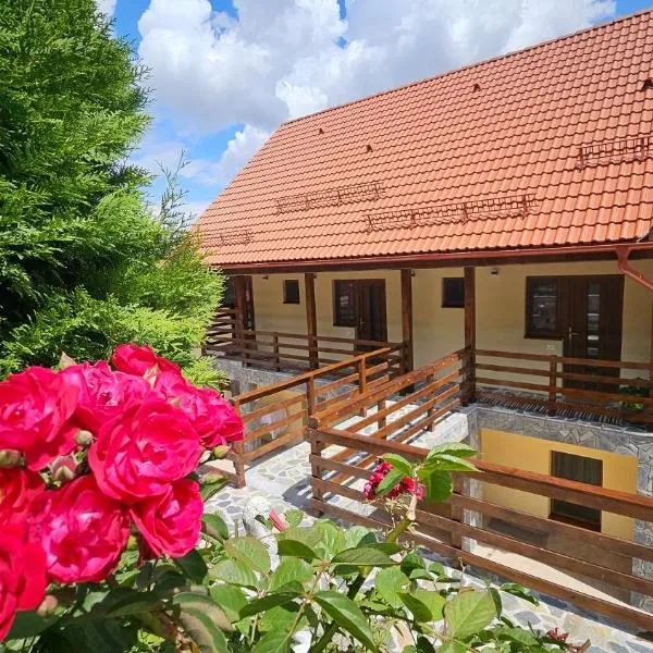 Matei Residence, hotel in Braşov