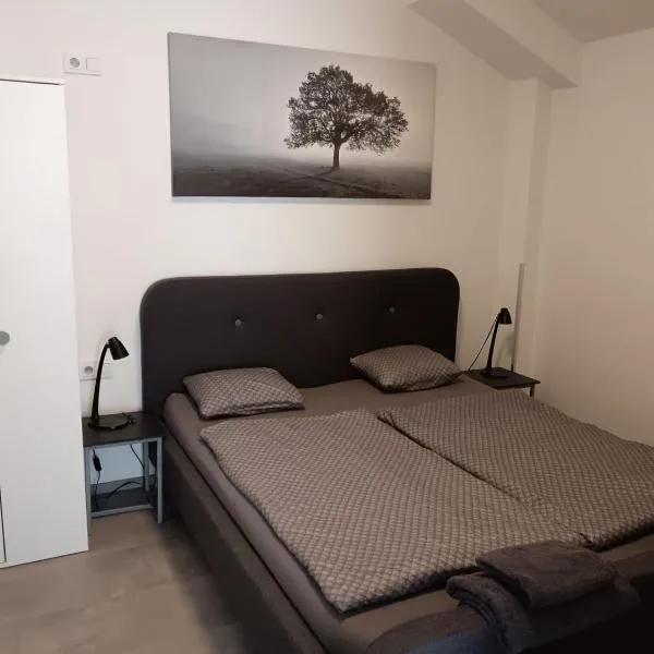 Apartmán u Révy, hotel v Bořeticích