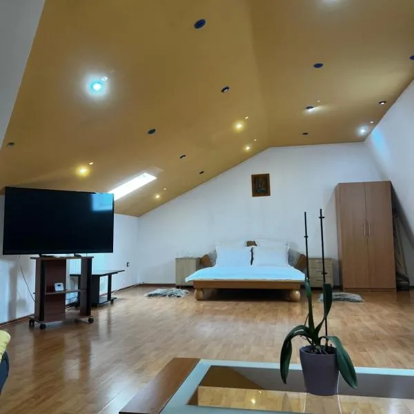 Timişoara में, होटल Apartament central Timisoara