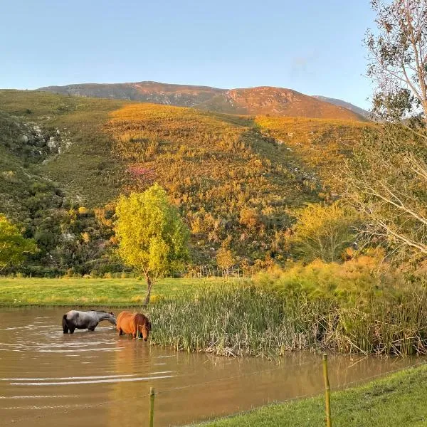 Frog Mountain Getaway, hotel in Swellendam