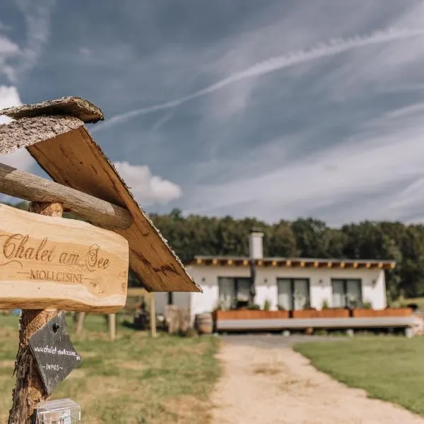 Chalet am Mollcesine, hotel v destinaci  Oderwitz