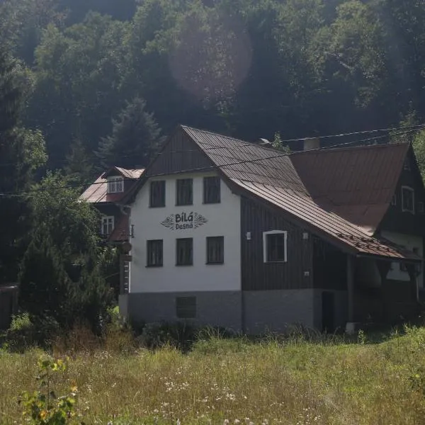 Chalupa Bílá Desná, hotel in Jablonec nad Nisou