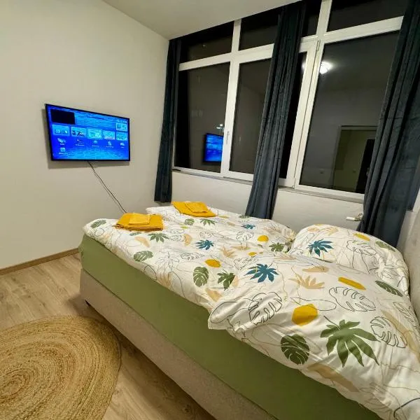 City Ferien Wohnungen 3, hotel v destinaci Rosenheim