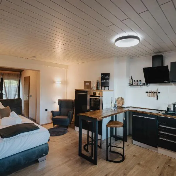 Apartment am Annaweiher, hotel v destinaci Hinterweidenthal