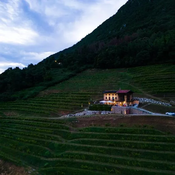 Dario Coos srl - Azienda vinicola, hotel v destinaci Sedilis