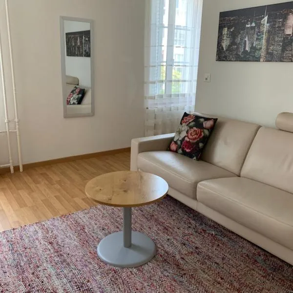 2 Zimmer Appartement mit eigenem Bad und Küche, hotel v destinaci Winterthur