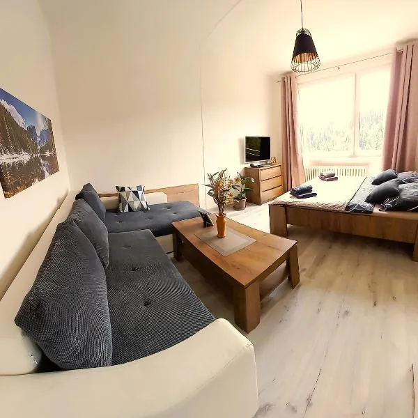 Apartmán u lanovky, hotel v Janských Lázních