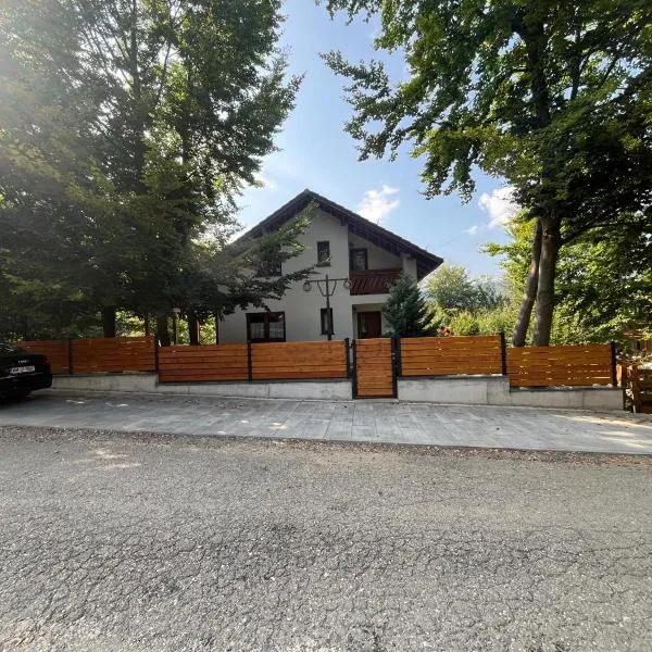 Casa de vacanta Mogosa、バイア・スプリエのホテル