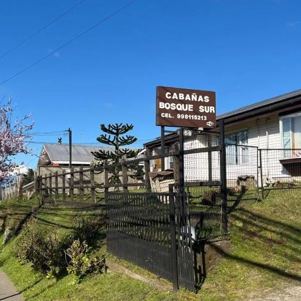 Cabañas Bosque Sur, hotel in Puerto Varas