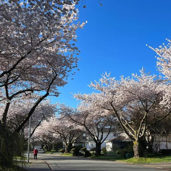 Bloom House 樱花民宿, hotel v destinaci White Rock