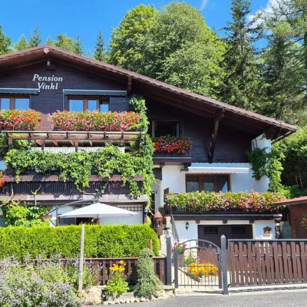 Pension Vinkl, hotel a Harrachov
