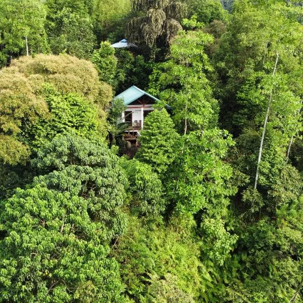 Sinharaja Rest, hotel v destinaci Deniyaya