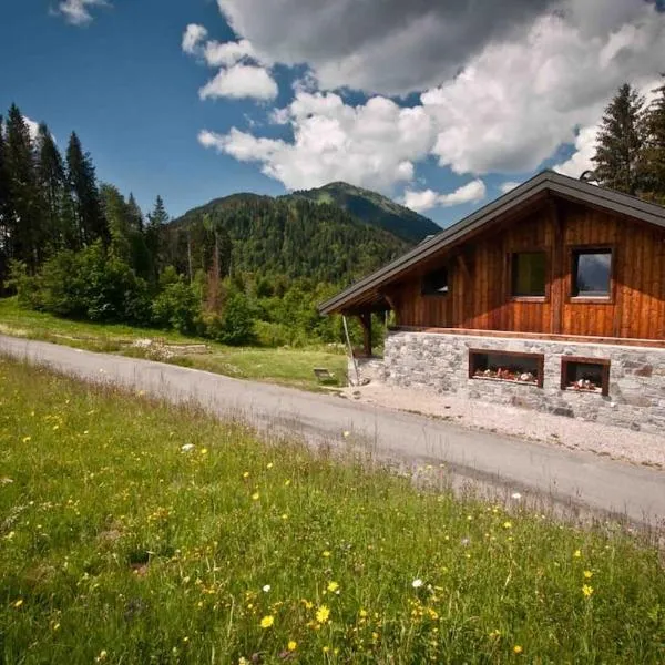 Appartement 2 à 4 personnes Chalet Le Bolet, hotel en Morzine