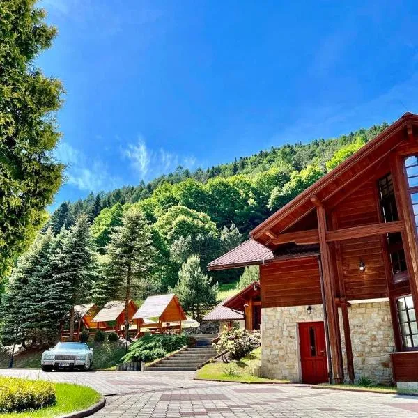 Rezydencja Leśny Dwór, hotel v destinaci Piwniczna