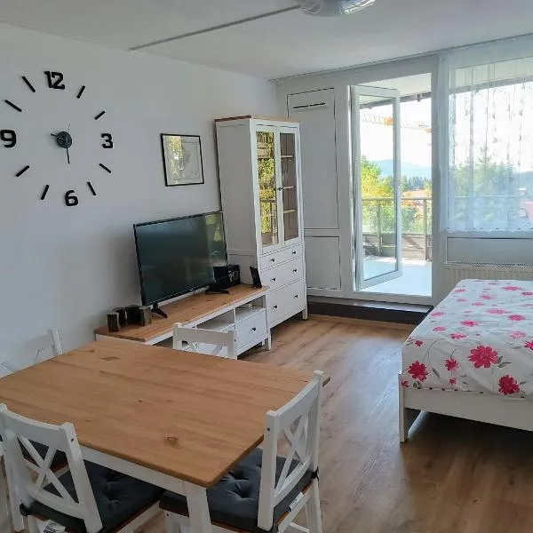 Apartmán Petr Sankt Englmar, Bayerische Wald, hotel v destinaci Sankt Englmar