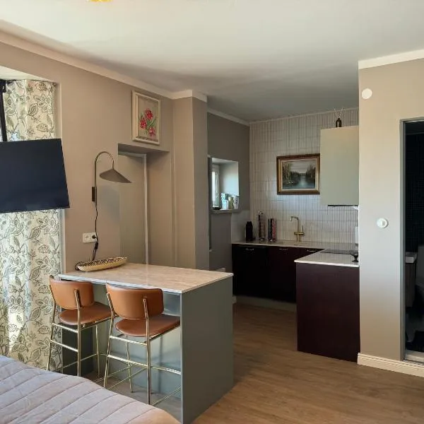 Tyylikäs maisema-asunto asemalla, hotel v destinaci Lahti