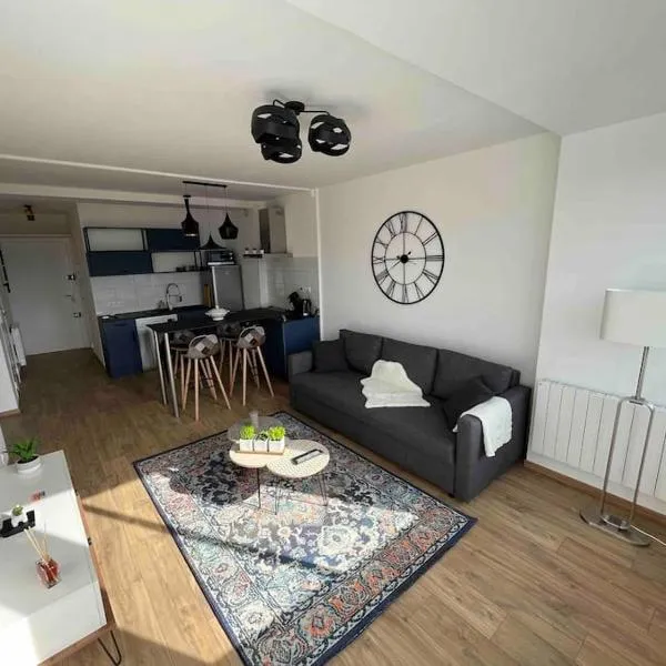 Plein centre-ville T2 refait à neuf, hotel in Aix-les-Bains