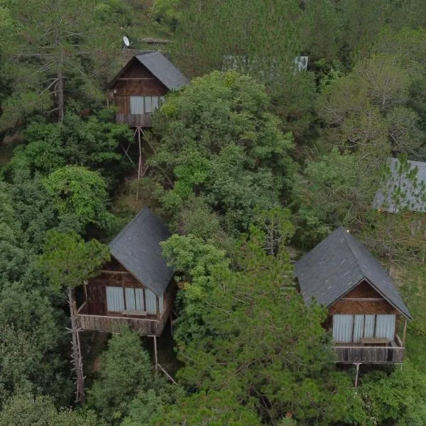 Alaya Stays Duplex Cottage with Tree House - Suro Woodcrest Chalet, хотел в Shogi