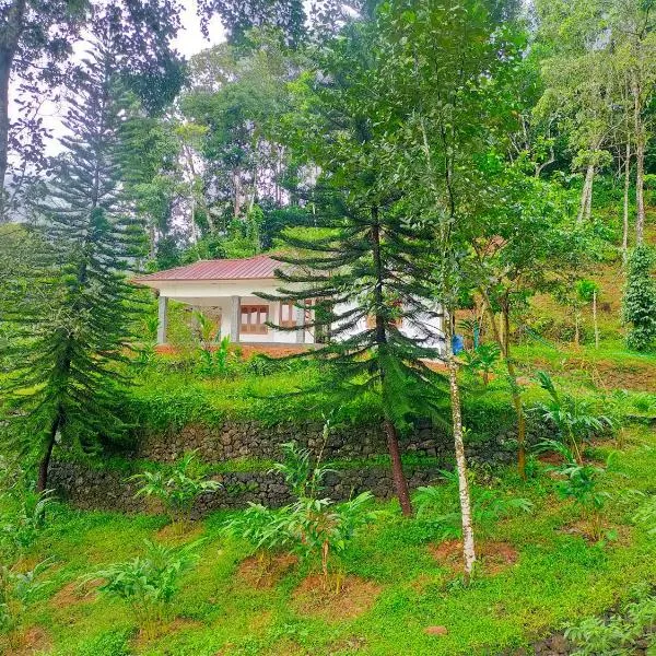 Anivilla Holiday Home Kunjithanny, hotel v destinaci Anachal