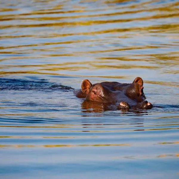 Zambezi Dusk, hotel v destinaci Livingstone
