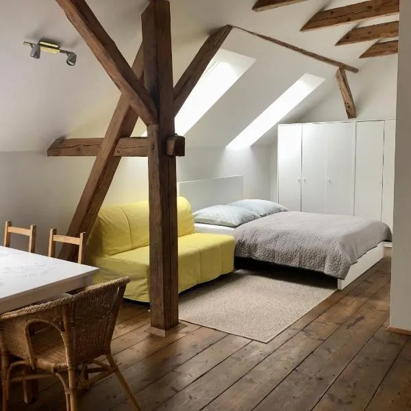 Apartmány Kosov 2, hotel v destinaci Bor