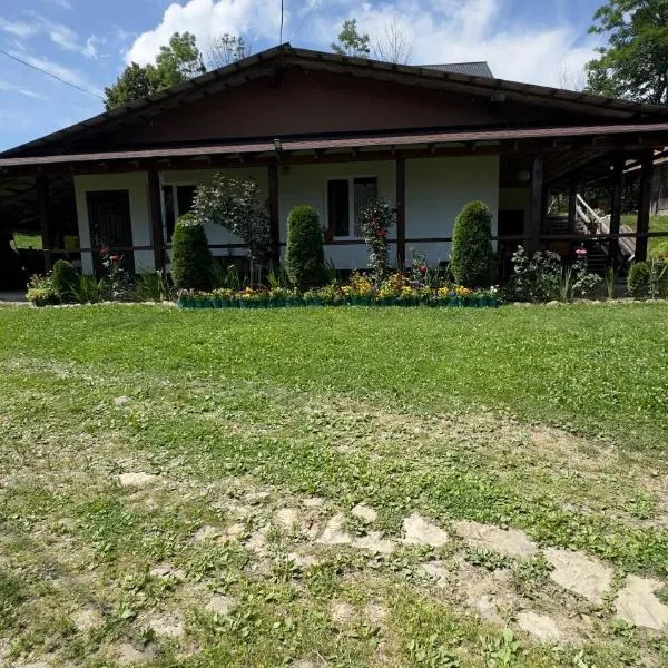 Dacha PODOBOVETS 127, hotel v destinaci Podobovec
