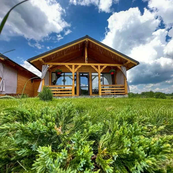 Căsuțele din Poiană, hotel v destinaci Satu Şugatag