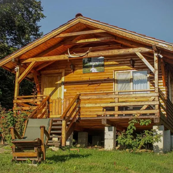 Chalets du BF, hotel v destinaci Sighişoara