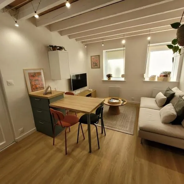 Petite maison pleine de charme, hotel v destinácii Lambersart