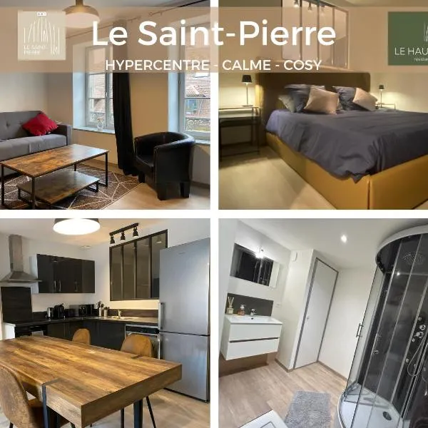 Hypercentre, calme, cosy - Le Saint-Pierre, hotel in Pontarlier