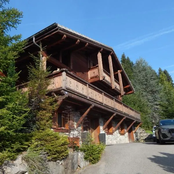 Chalet LE VAL NESS – hotel w mieście La Côte dʼArbroz