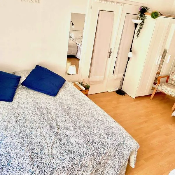 Chambre chez l'habitant en hyper centre à Strasbourg, hotel ve Štrasburku