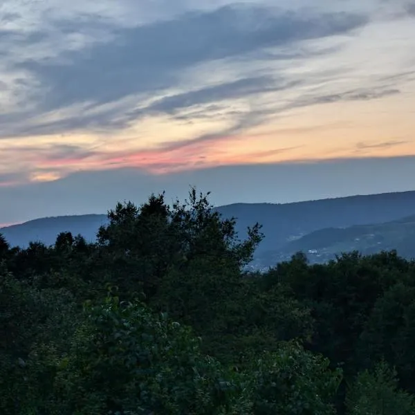 Ferme pleine nature, vue splendide 2 chambres cheminée, Hotel in Le Thillot