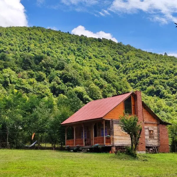 Forest Dream ტყის სიზმარი, hotel in Tsʼageri