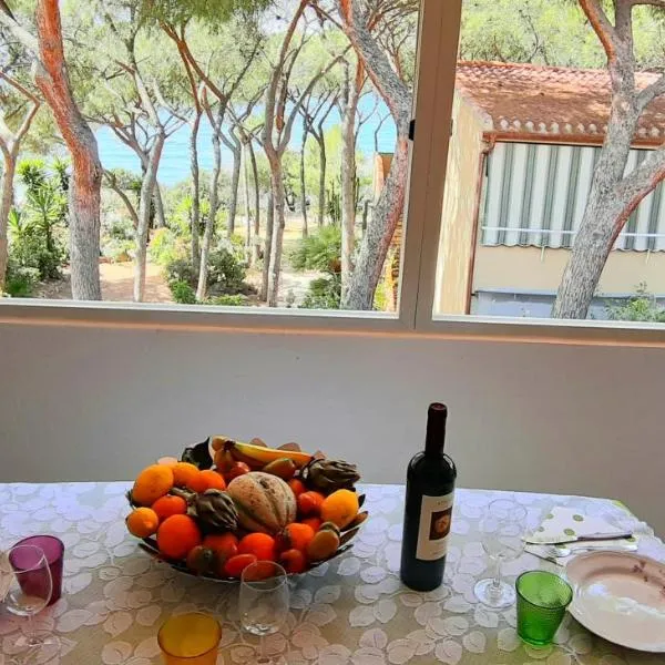 Casa Pillo Nereidi - 30 m dal mare e con vista mare, hotel in Terra Mala