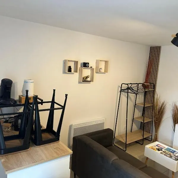 Appartement Centre ville, hotel v destinaci Carmaux