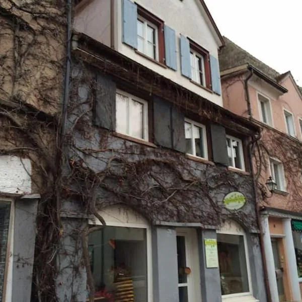 Ferienwohnung in der Innenstadt, hotel en Leutkirch im Allgäu