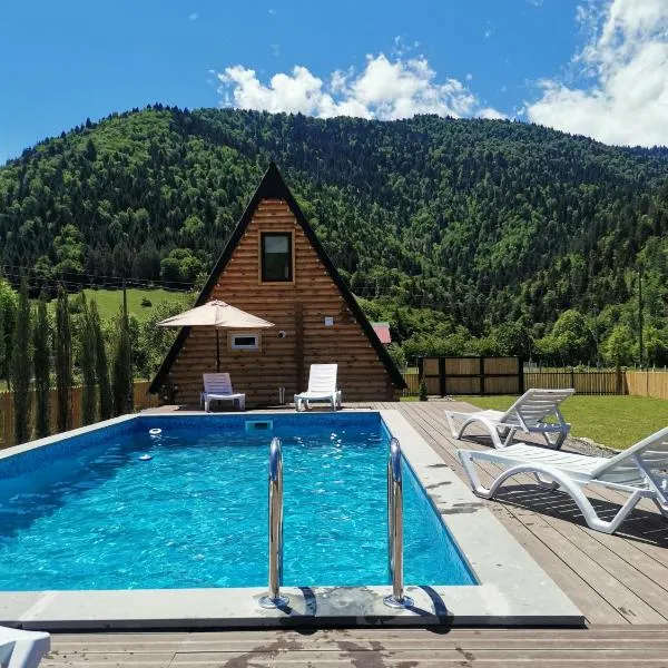 Eco cottage in Borjomi with pool 1, hotel in Borjomi