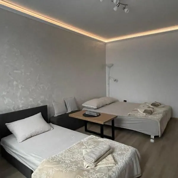 Apartman Silver Bg, hotel in Kneževac