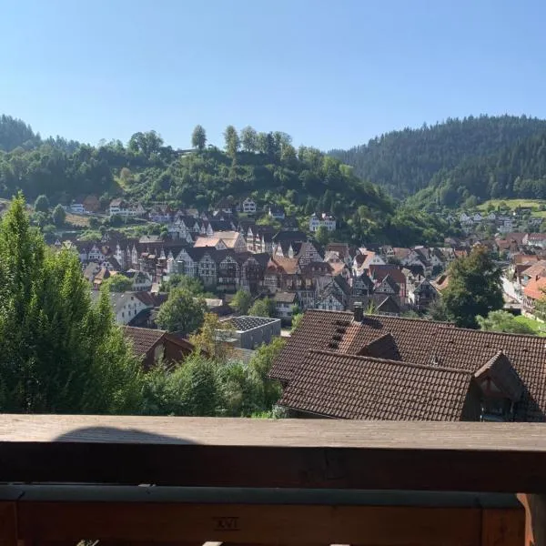 Ferienwohnung Altstadtblick, hotel in Schiltach