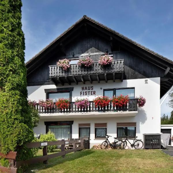 Apartmenthaus Fister, hotel in Schluchsee
