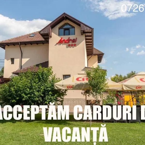 Pensiunea Andrei Rm Valcea, hotel v destinaci Râmnicu Vâlcea